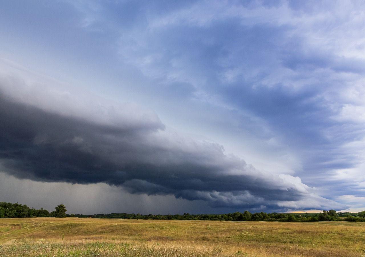 Chuvas volumosas seguem favorecendo cultivos no centro-norte