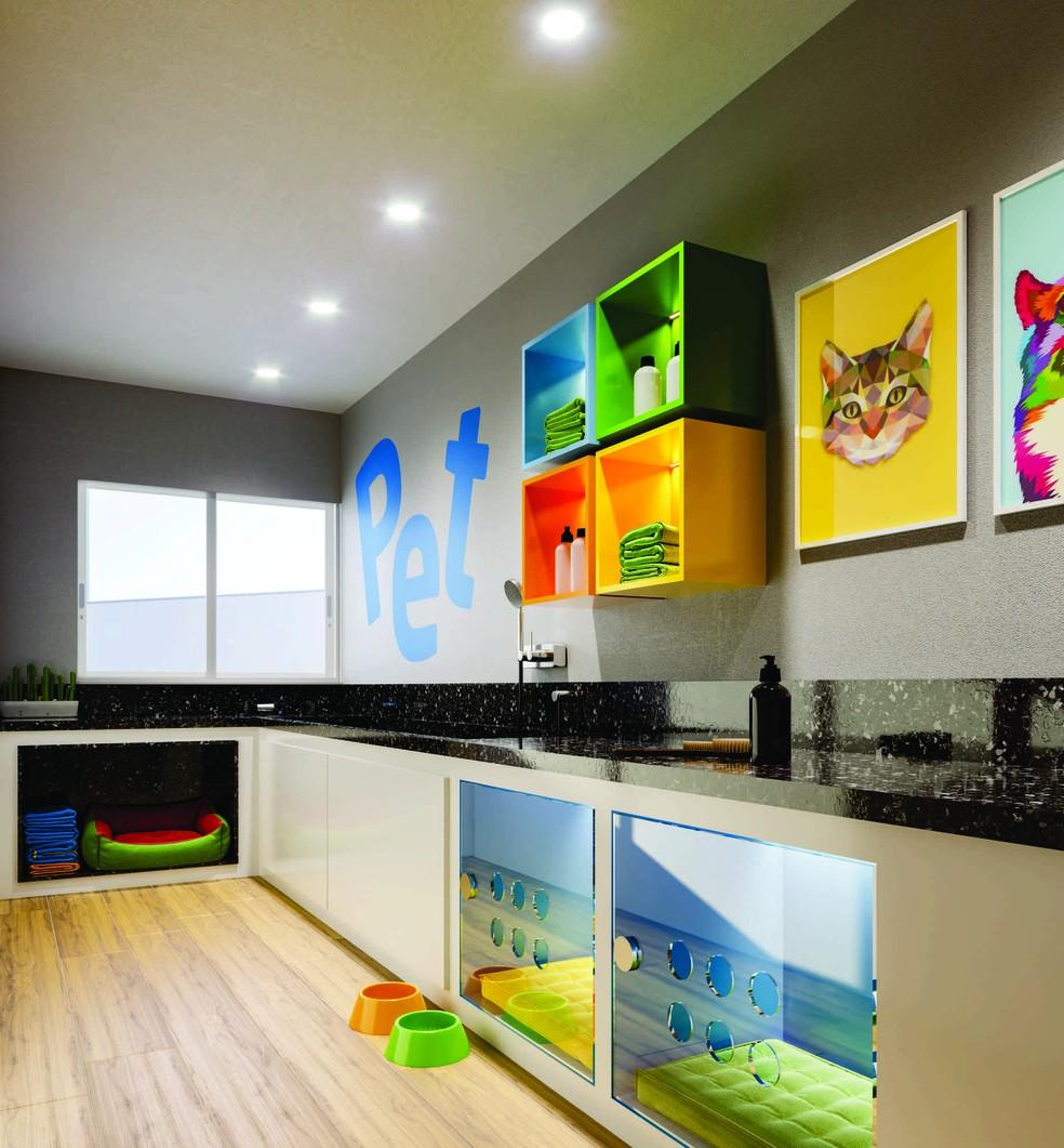 Deputados aprovam projeto que obriga instalação de câmeras com imagens ao vivo em pet shops em MT