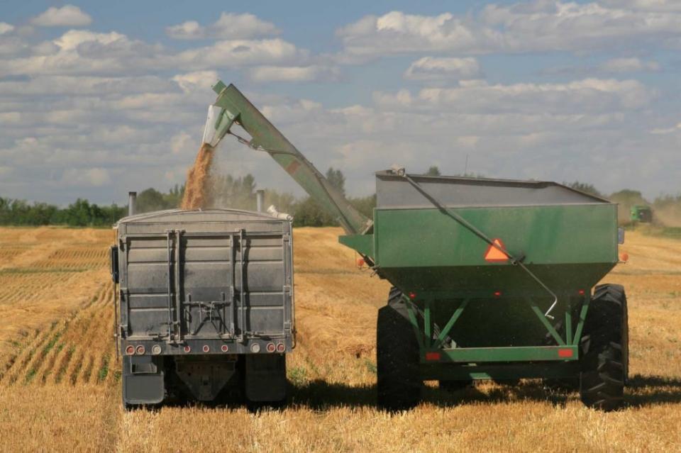 Empresa de insumos agrícolas Matosul Transportes entra em recuperação judicial por dívida de R$ 37 milhões