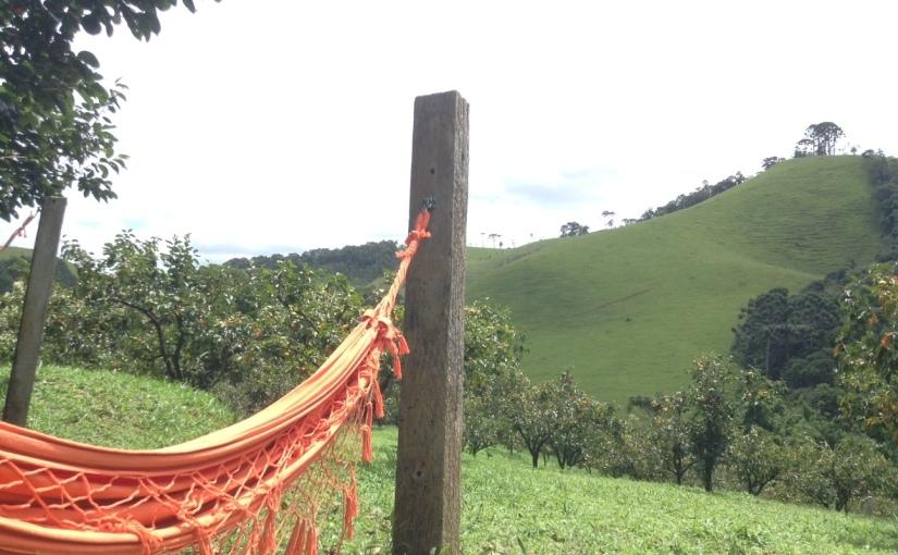 Homem que matou a ex a facadas aguardou polícia deitado em rede: 
