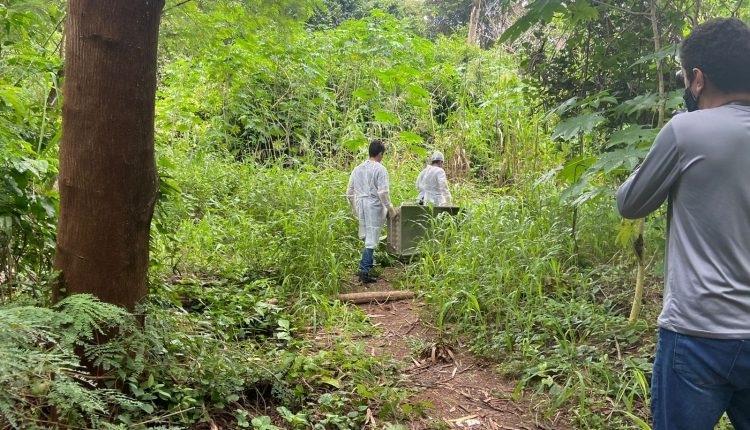 Jovem que estava desaparecido é encontrado decapitado e enterrado em parque florestal em Sinop