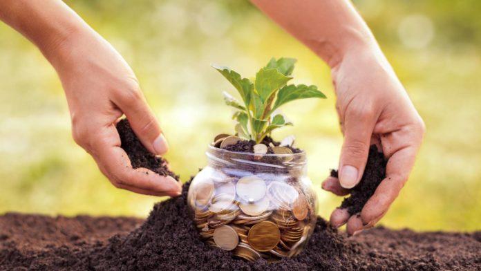 Mato Grosso tem 35 municípios na lista dos 100 mais ricos do agronegócio