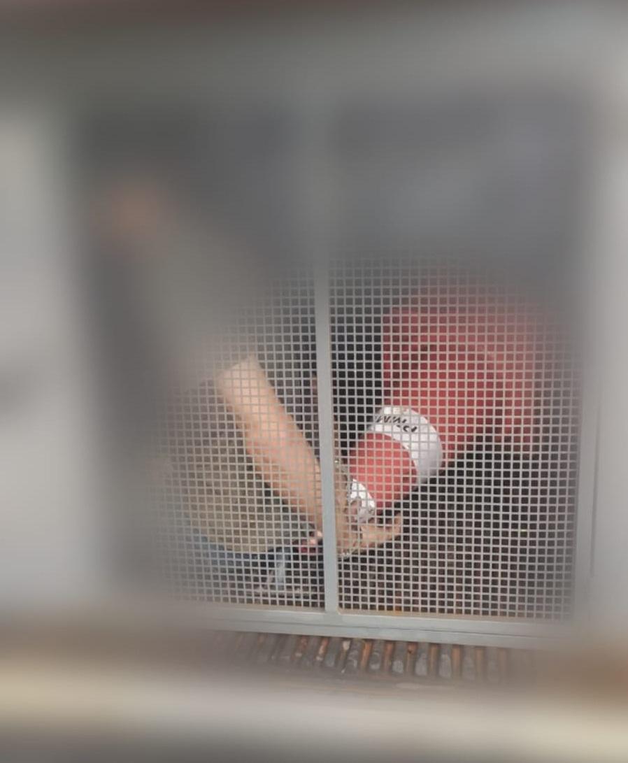 PM cumpre mandado de prisão em Gaúcha do Norte