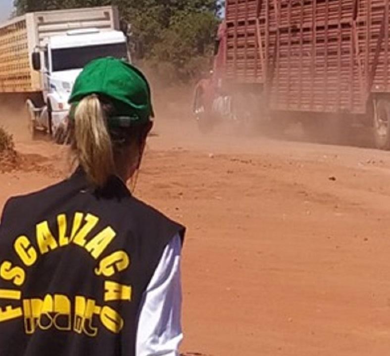 Indea orienta sobre importância da emissão da guia de transporte animal