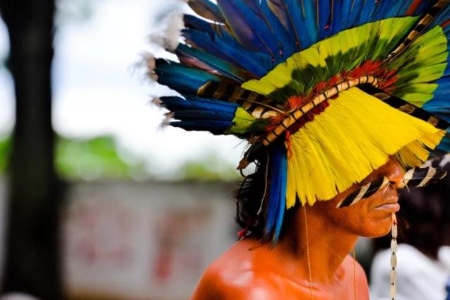 Justiça dá prazo de 30 dias para União homologar demarcação de terra indígena em MT