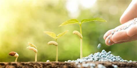 Aumento de mais de 350% no preço dos fertilizantes pode gerar desabastecimento, afirma Aprosoja