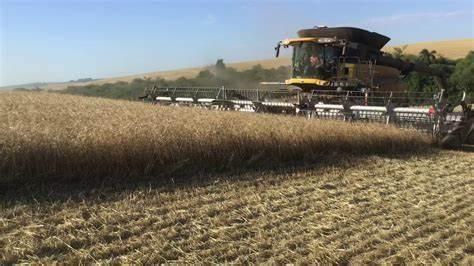 Exportação do país tem redução de 13%, mas preço das commodities garantem receita; MT é responsável por 25%