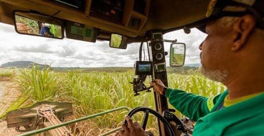 Produtividade do trabalhador brasileiro só cresce na agropecuária