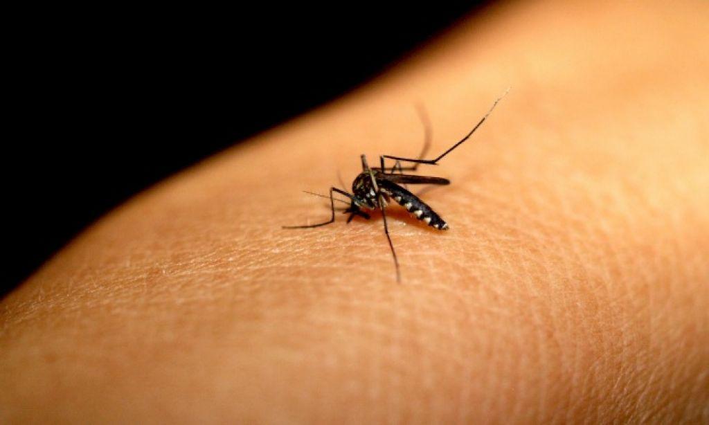Casos de dengue em MT aumentam 158% neste ano e risco é considerado alto