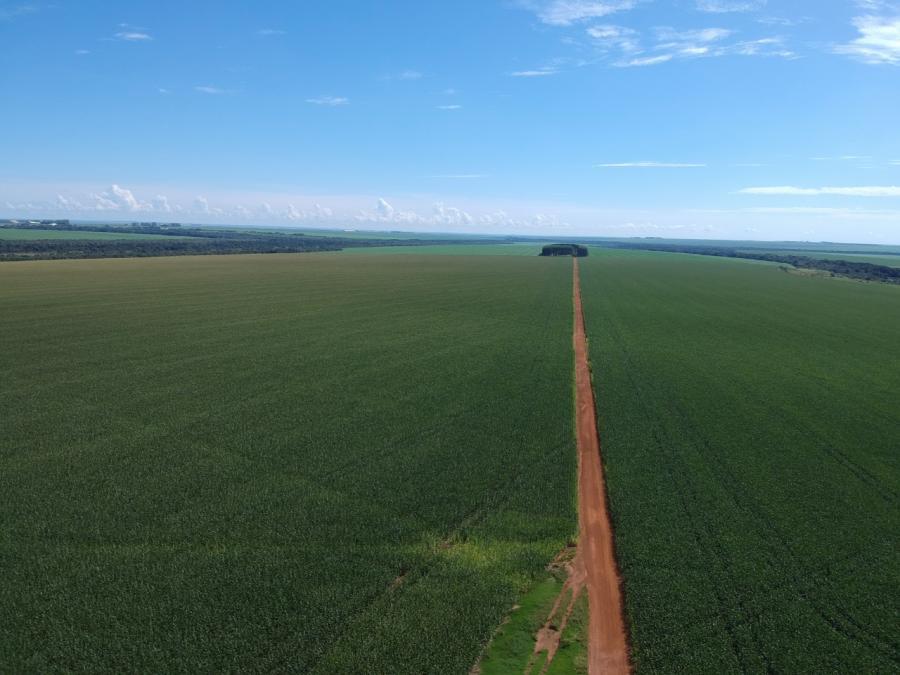 Primavera do Leste: de pequena cidade a gigante do agronegócio