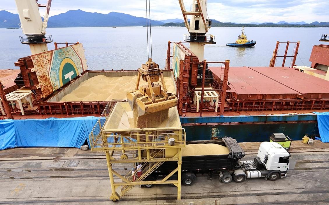 Projeto apresentado pela bancada do PT quer taxar exportação de grãos e carnes do Brasil