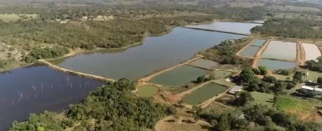 Produtor pesca 200 toneladas por ano em épocas de chuva estável em MT