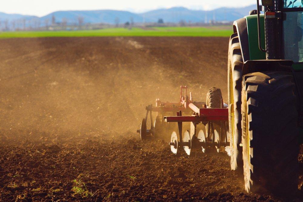 Boa produção está ligada à preparação e à manutenção do solo