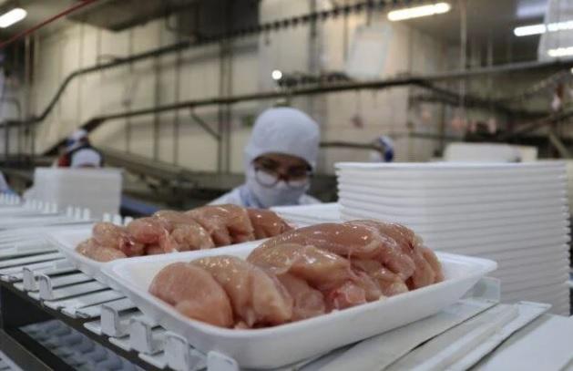 Frango brasileiro: África do Sul suspende tarifa antidumping