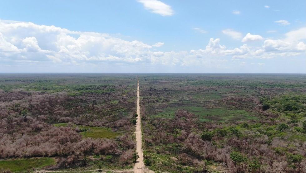 MT dobra cultivo de grãos com plantio em áreas degradadas