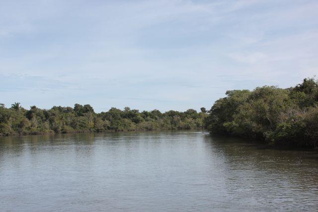 Produtor recupera fauna, flora e rios com reflorestamento