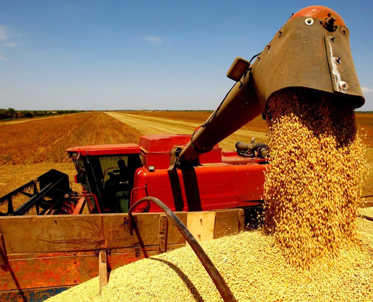 Conab aponta aumento de 3,5% na safra de grãos 2022/2023 em MT