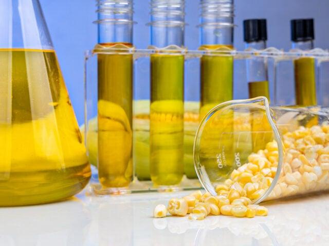 Número de usinas de etanol de milho pode subir para 19 unidades em MT, prevê Sedec