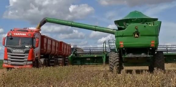 Colheita de soja está mais lenta quando comparada com cultivo de 2022 em MT