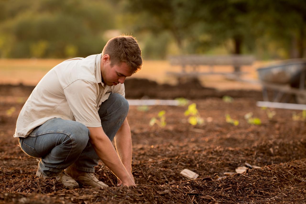 Crônicas do Agro: Governança e Sucessão Familiar