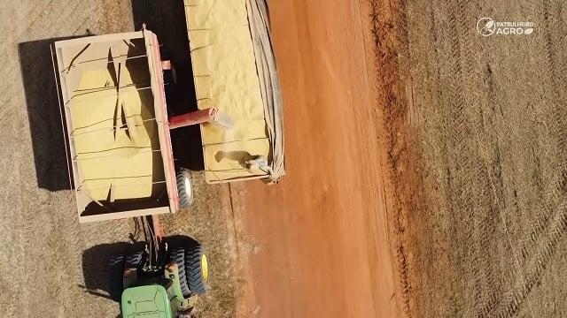 Sobre áreas de pasto degradado, lavouras de grãos avançam no norte de Mato Grosso