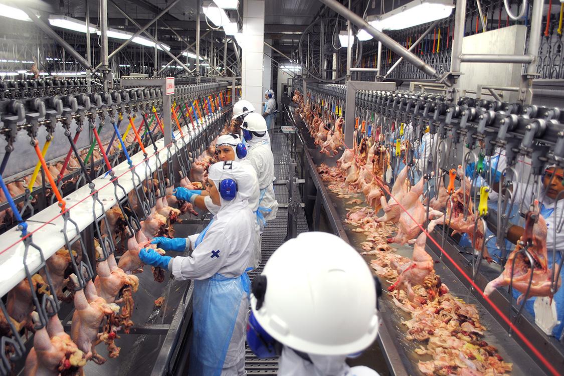 MT registra aumento de 130% nas exportações de carne de frango