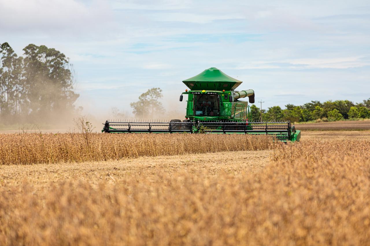Produção de soja coloca Mato Grosso como o terceiro maior produtor do mundo