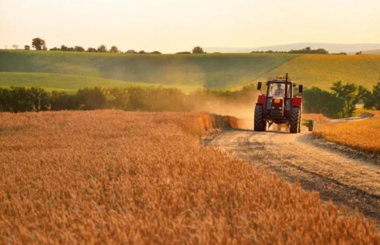 VBP de Mato Grosso representa 16,4% da receita nacional e lidera ranking