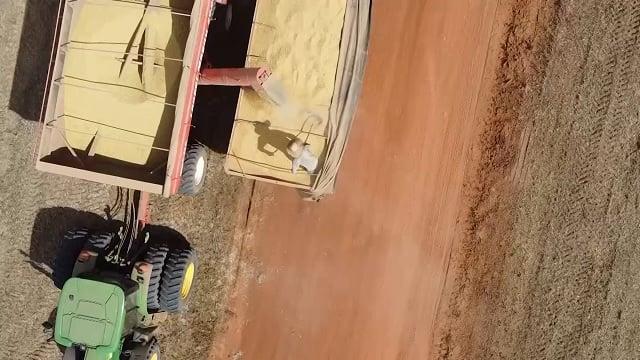 Esmagamento de soja recua 4,19% no primeiro trimestre em Mato Grosso