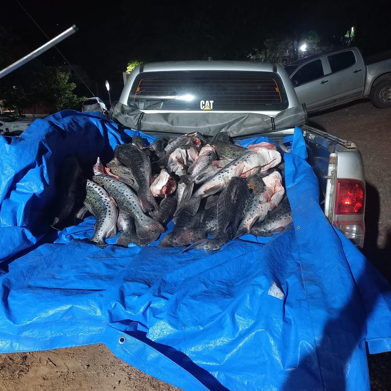 Sema e PM apreendem mais de 300 quilos de pescado ilegal