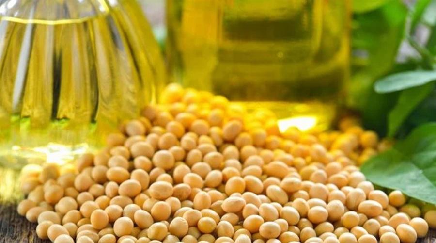 Venda das safras 22/23 e 23/24 estão atrasadas em Mato Grosso