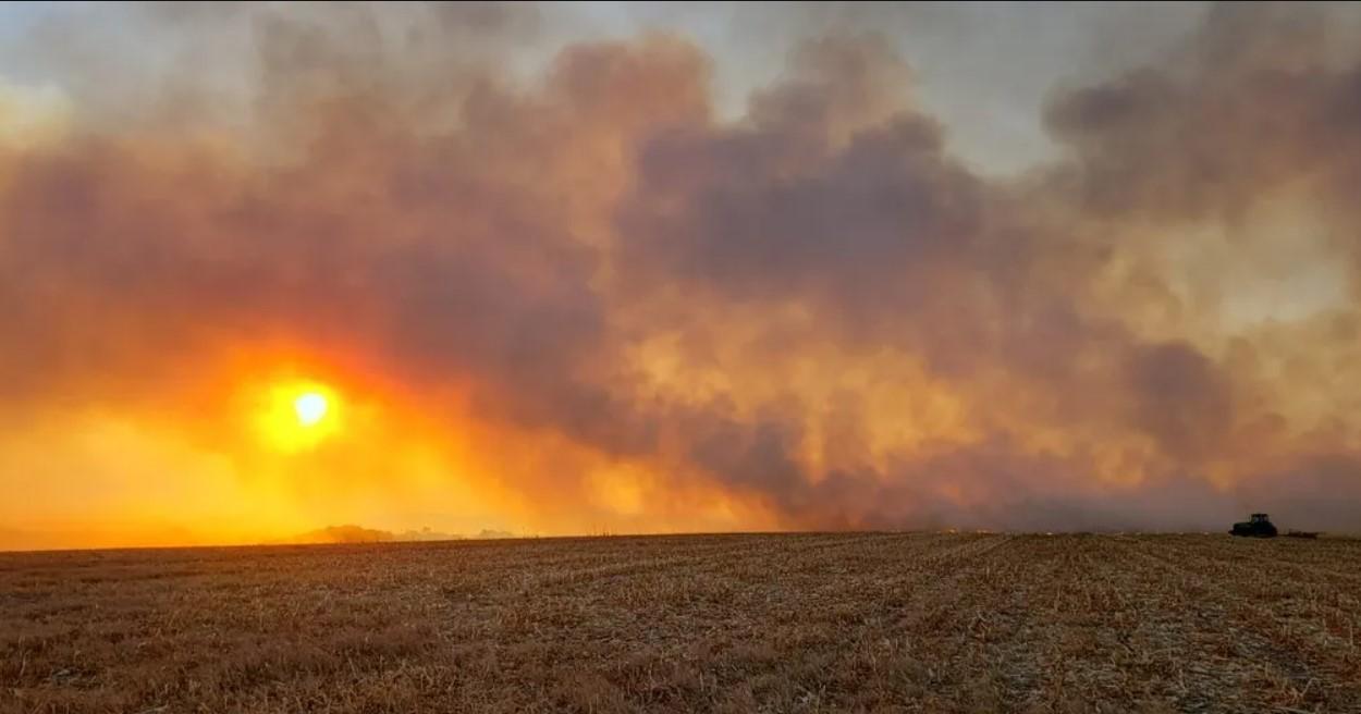 Mais de R$ 77 milhões em multas são aplicadas contra autores de incêndios em MT