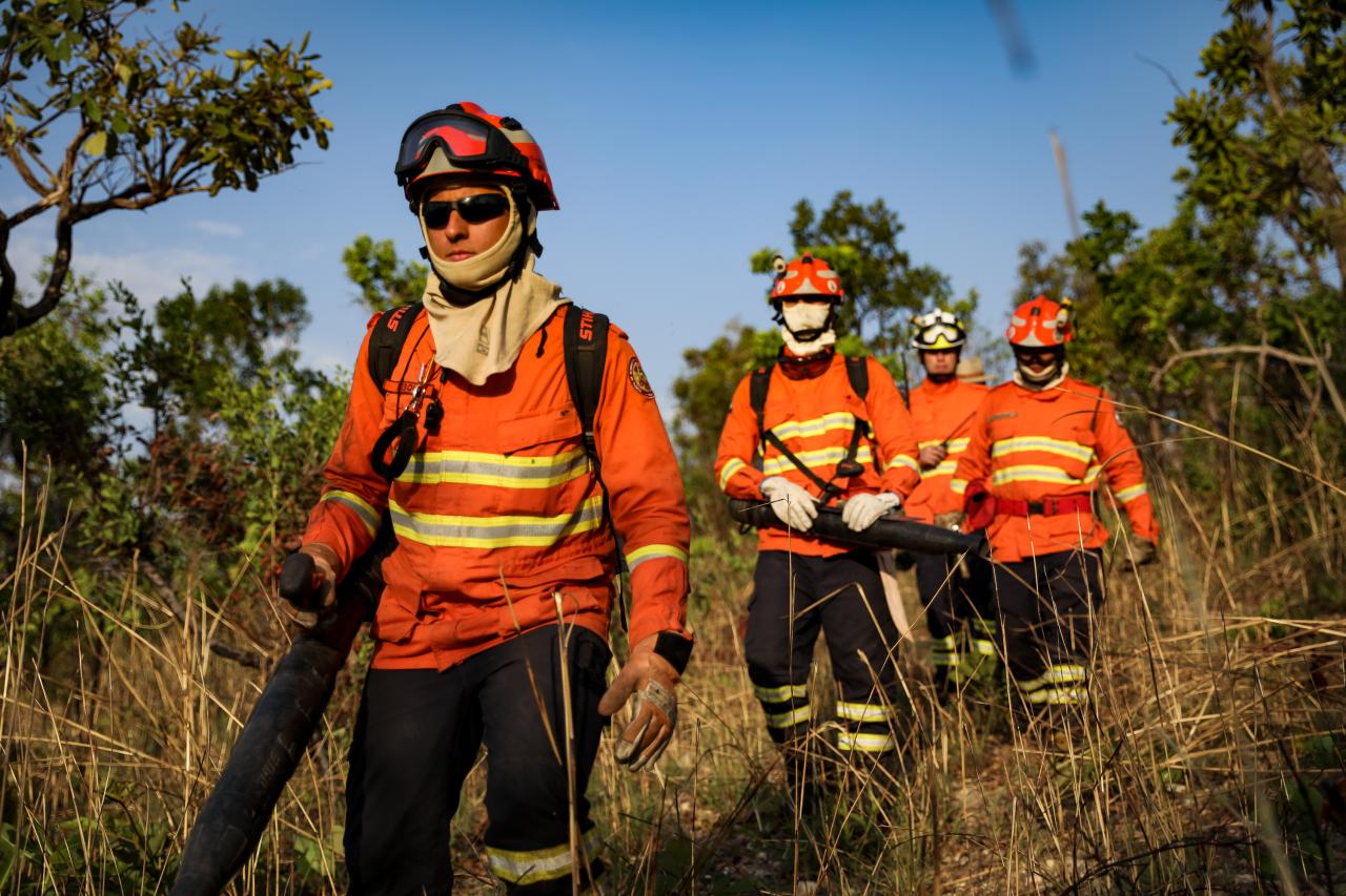 Mato Grosso registra o menor número de focos de calor nos últimos 15 anos