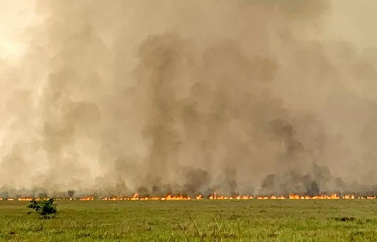 Incêndios no Pantanal devastam 258 mil hectares em duas semanas, diz levantamento