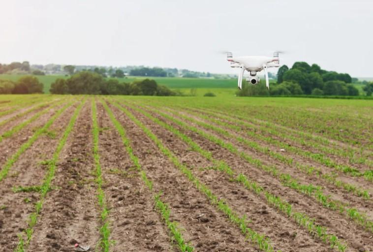 Pesquisa aponta que agrotóxicos contaminaram água de 2 municípios em MT