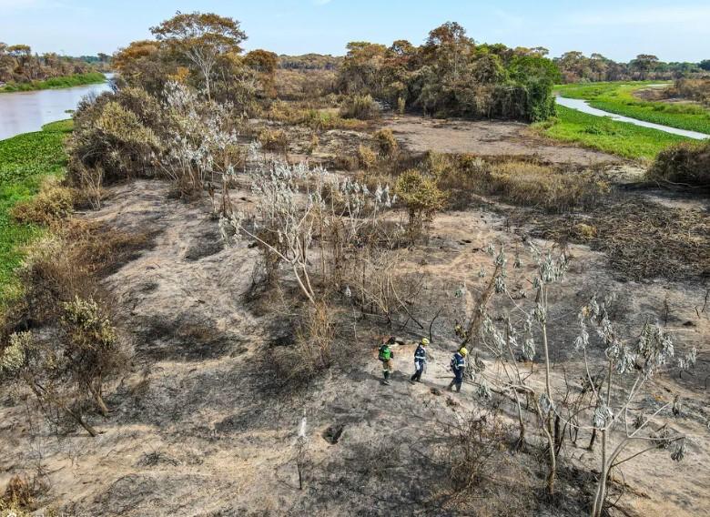 MT tem 22 municípios na lista dos que mais desmataram a Amazônia em 2023