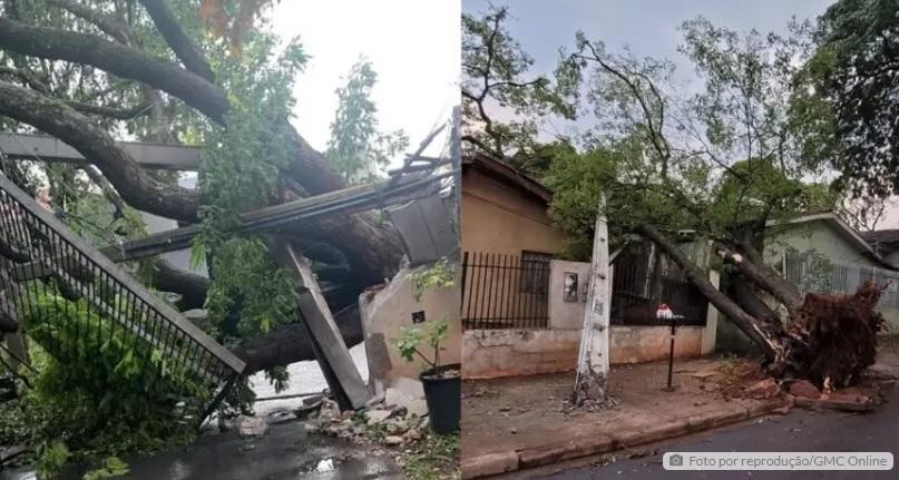 Temporal causa destruição em Maringá no Paraná