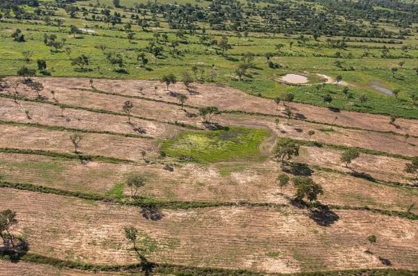 MT é o estado da Amazônia Legal que mais desmatou no 1° bimestre de 2024