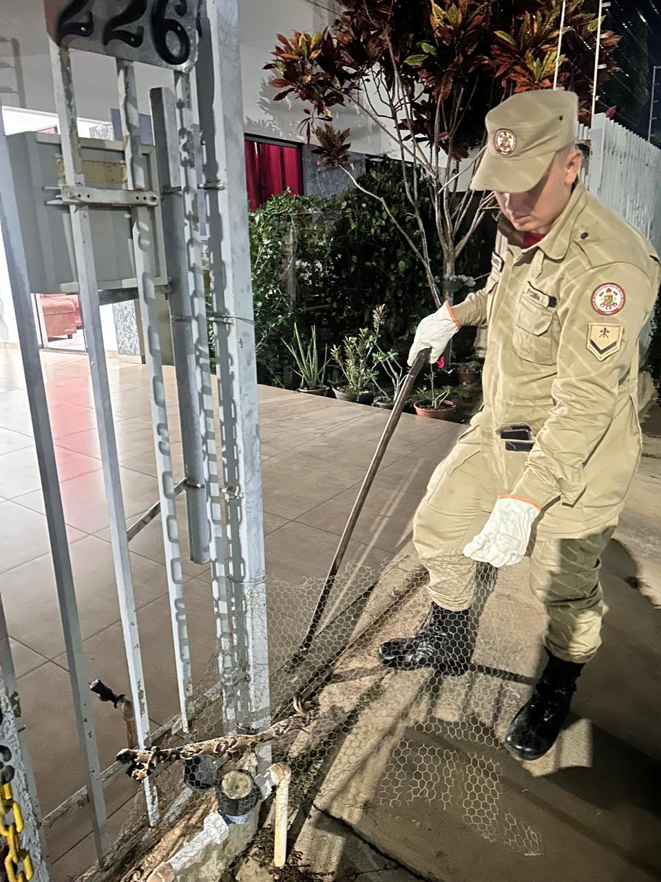 Primavera do Leste; Bombeiros capturam cobra surucucu que estava em portão de residência