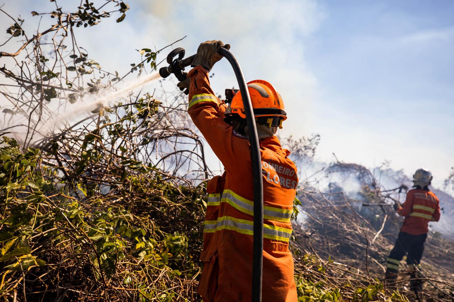 Período proibitivo do uso de fogo na Amazônia e Cerrado começa nesta segunda-feira (1º)