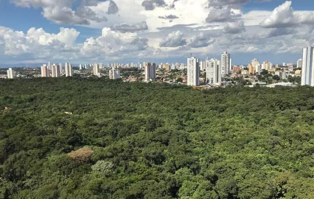 Aquecimento global: pesquisa da UFMT revela que apenas 26% da 'cidade verde' é arborizada e não cumpre diretrizes da OMS