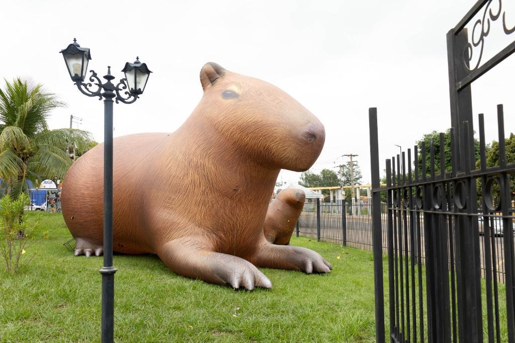 Capivara de quatro metros de altura chama atenção para Virada Sustentável Mato Grosso
