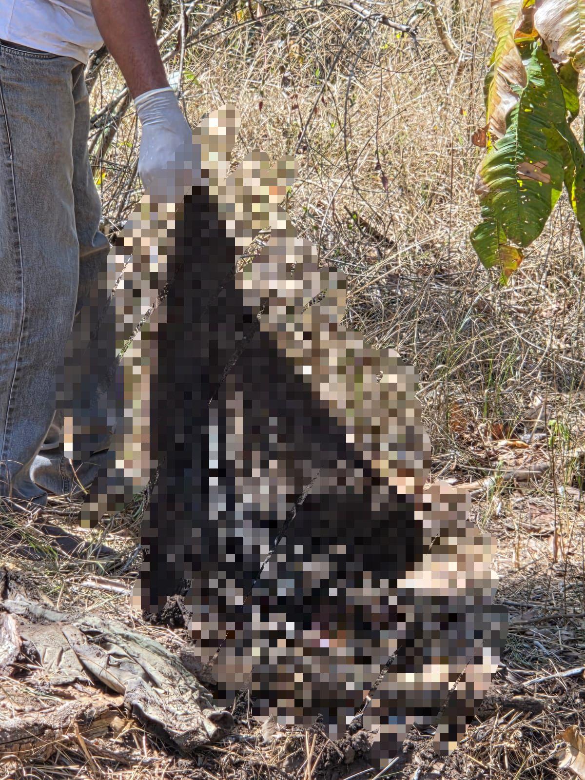 Polícia Civil encontra ossada humana em área rural de Jaciara