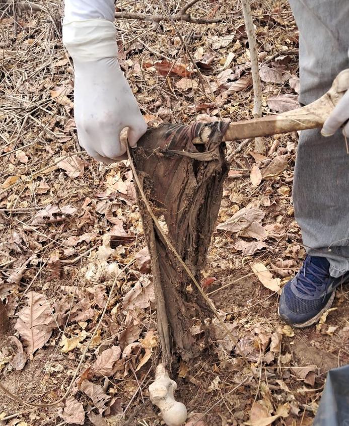 Polícia Civil encontra ossada humana na zona rural de Pedra Preta