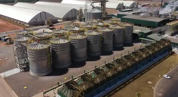 Agroindústria abre nova frente de expansão em MT e impulsiona PIB acima da média nacional