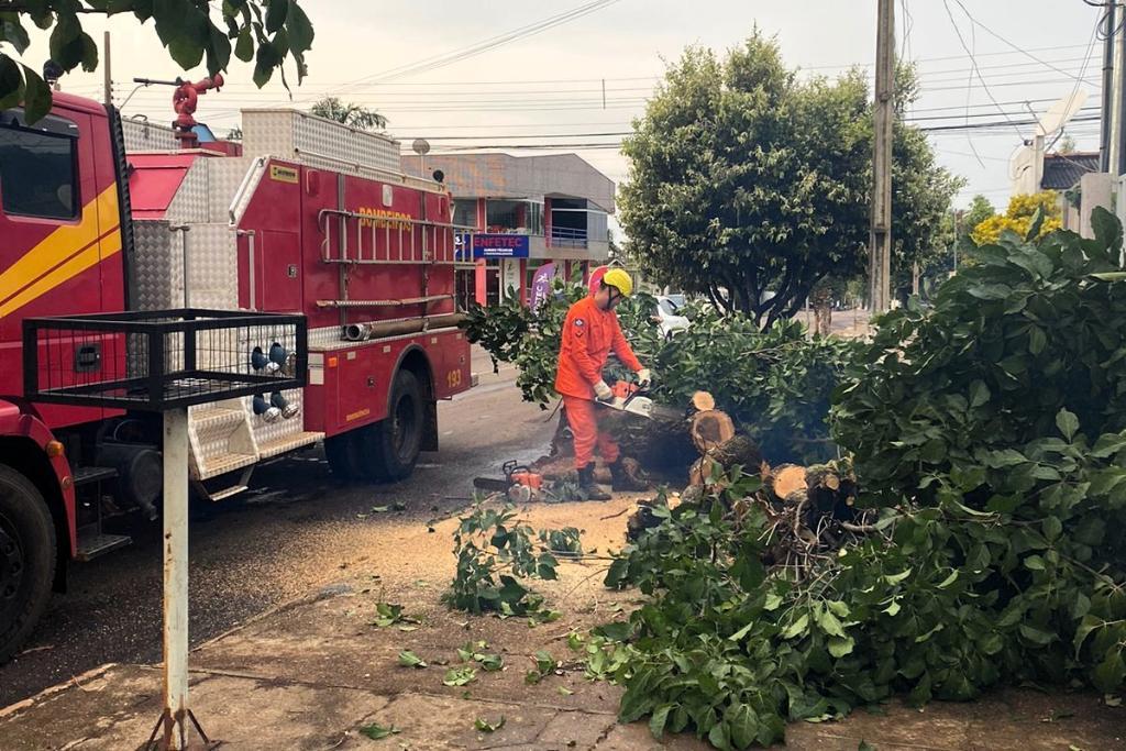 Campo Verde; Corpo de Bombeiros liberaram vias bloqueadas por queda de árvores após temporal