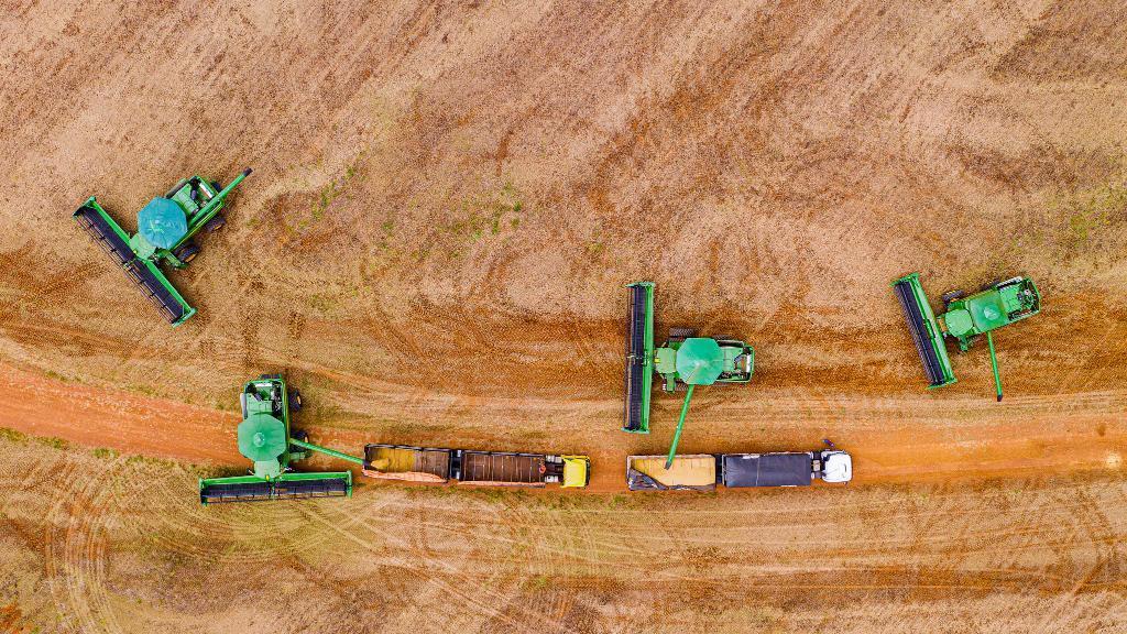 Sefaz define regras e limite para incentivo fiscal à soja a granel em 2026