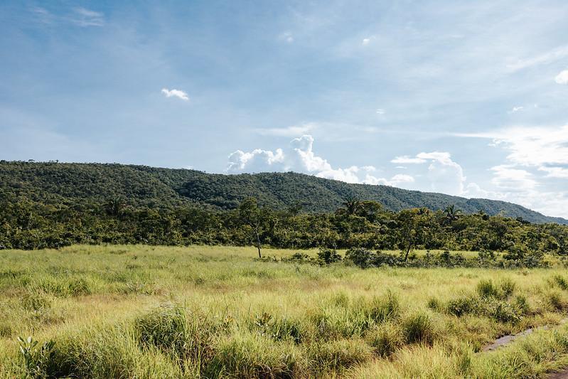 Sema aprova mais de mil projetos para recuperação de 50 mil hectares