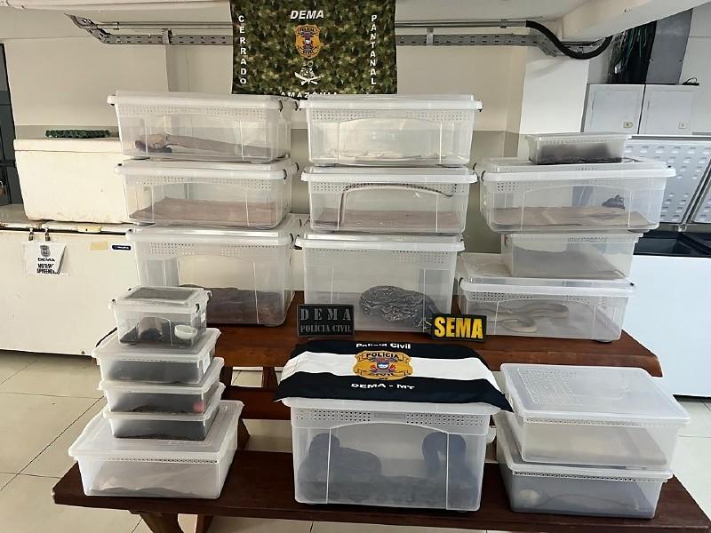 29 animais silvestres são apreendidos em residência em Cuiabá; caso pode envolver tráfico