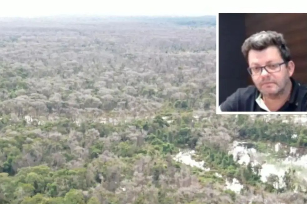 Justiça mantém condenação de pecuarista por desmatamento no Pantanal